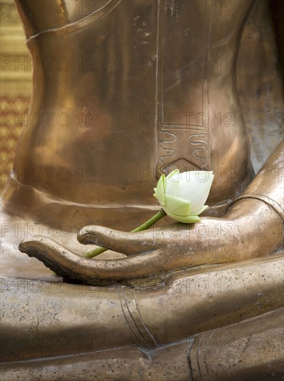 Wat Phra Temple