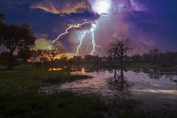 Thunderstorm over swamp