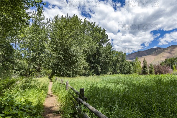 Footpath and pasture in rural area