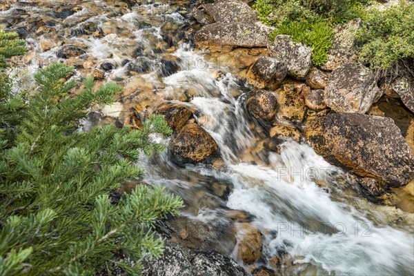 Rocky creek in forest