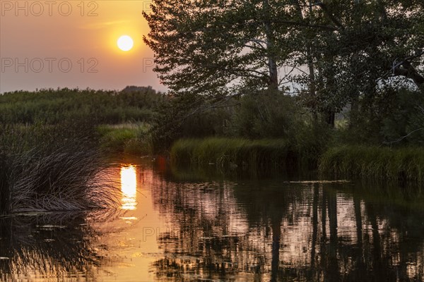 Sunset reflecting in spring creek