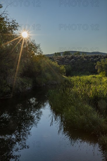 Morning sun over spring creek near Sun Valley