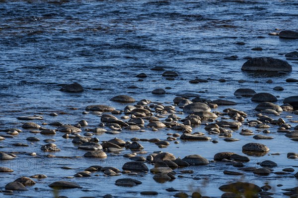 Rocks in Salmon River