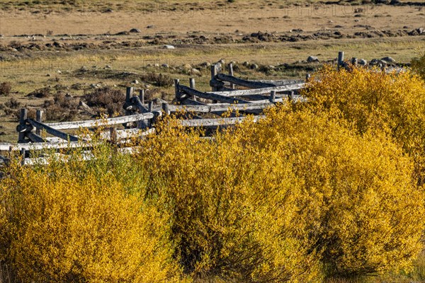 Fall foliage and rail fence near Sun Valley