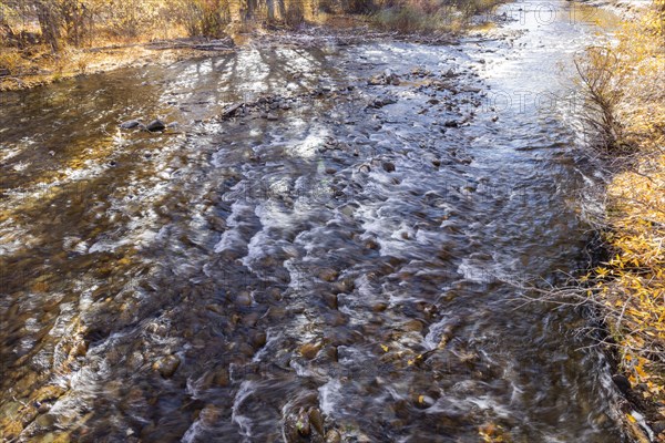 Riffles in Big Wood River