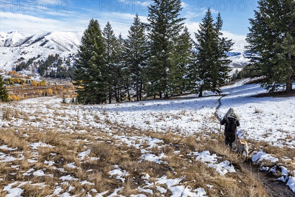 Hiker with golden labrador on snowy trail