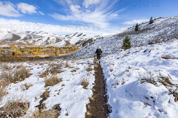 Hiker with golden labrador on snowy trail