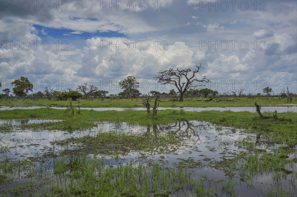 Clouds over river in remote landscape