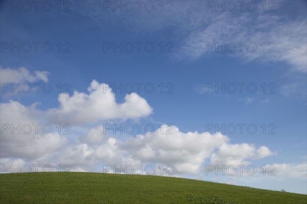 Rolling green hill under blue sky