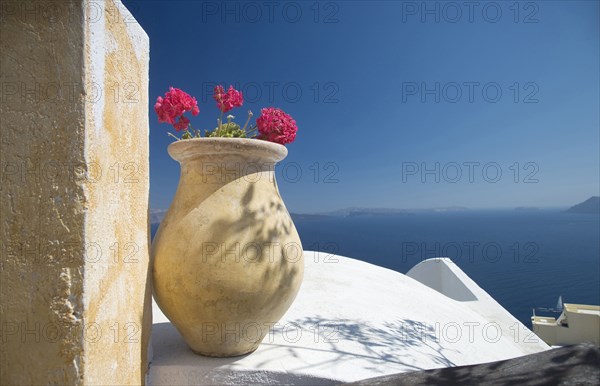 Flower pot on balcony overlooking seascape