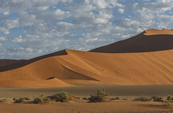 Sand dunes in desert landscape