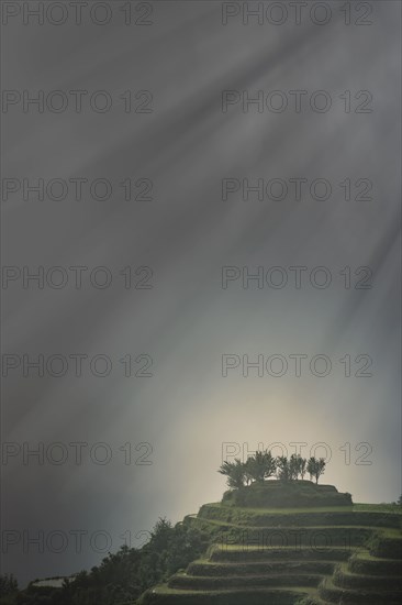 Rice paddy hills under sunbeams