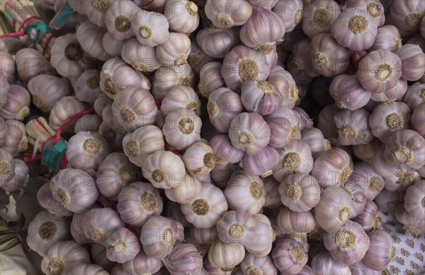 Close up of pile of garlic bulbs