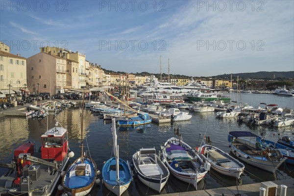 Boats docked in St Tropez marina