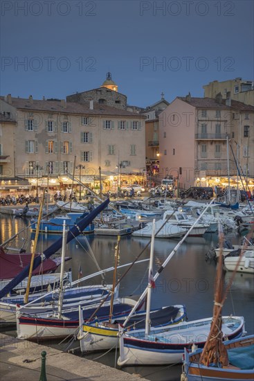 Boats docked in St Tropez marina