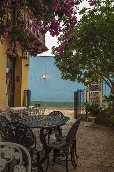 Tables and flowering trees in courtyard