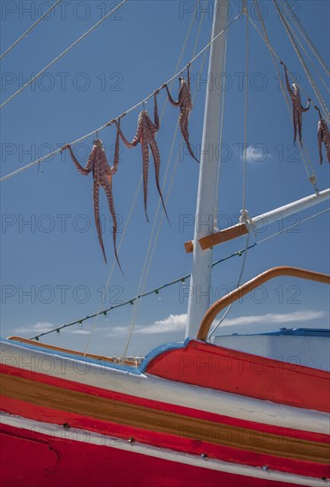 Low angle view of octopus hanging from boat rigging