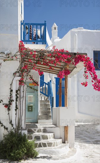 Flowers growing on traditional patio roof