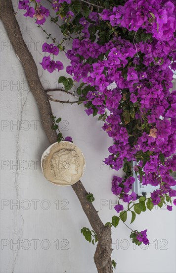 Sculpture and flowers on building exterior