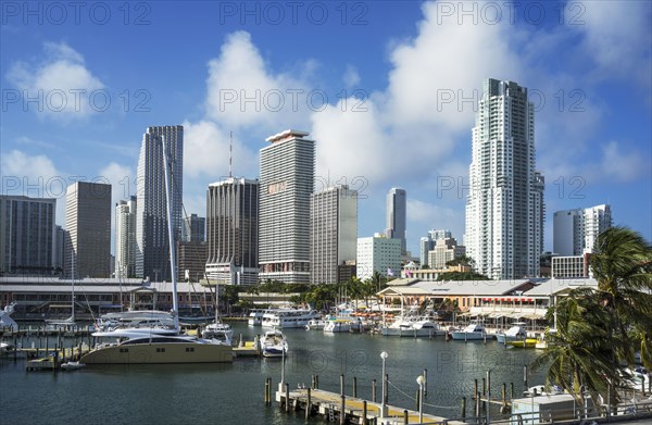 Miami highrise buildings and harbor