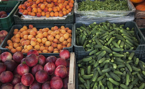 Vegetables for sale in market