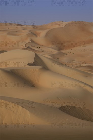 Sand dunes in desert landscape