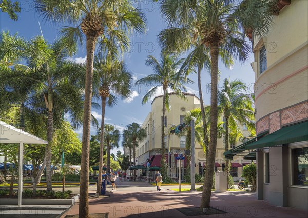 Palm trees on urban sidewalk