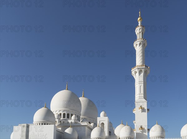 Ornate tower and dome architecture