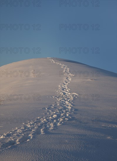Footprints in snow on hill