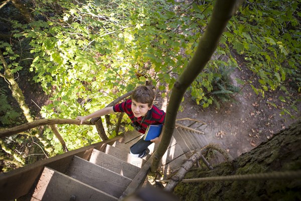 Caucasian boy climbing ladder to tree house