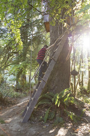 Caucasian boy climbing ladder to tree house