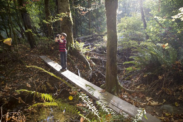 Caucasian boy on bridge using binoculars in forest