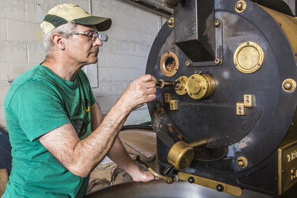 Caucasian worker checking coffee in roaster