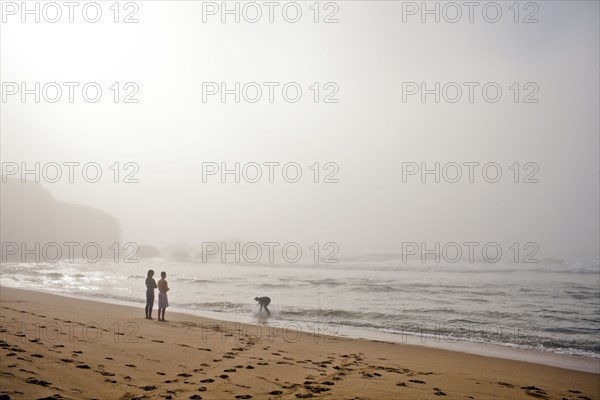 Couple playing with dog on beach
