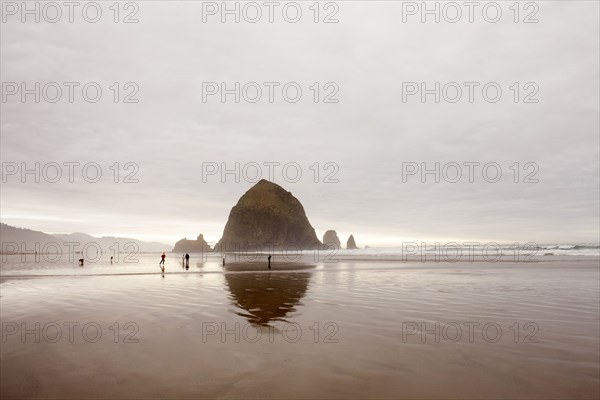 Haystack Rock reflected in surf