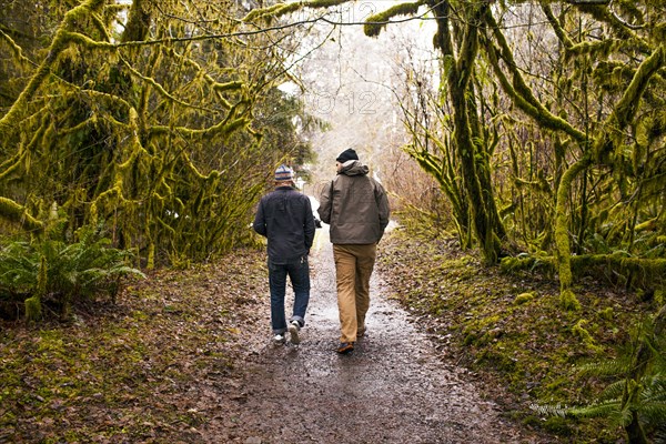 Men walking together in forest