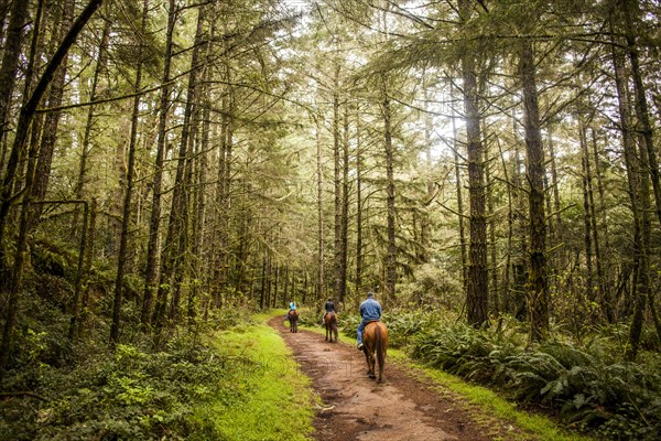 Caucasian ranchers riding horses in forest