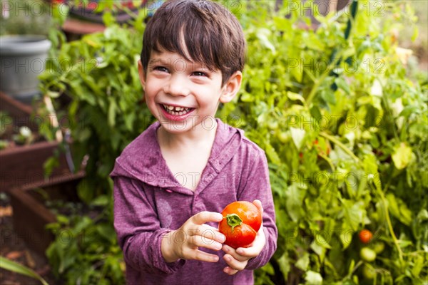 Mixed race boy holding tomato in garden