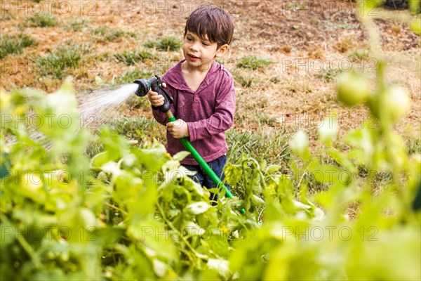 Mixed race boy watering plants in garden