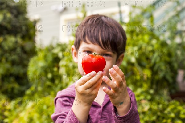 Mixed race boy admiring fresh fruit in garden