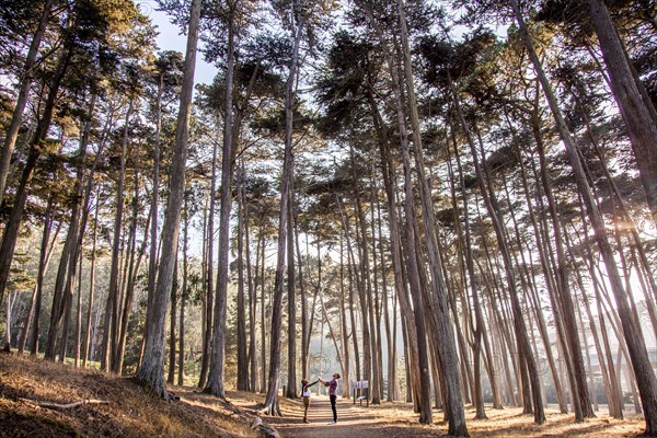 Couple holding hands under trees in forest