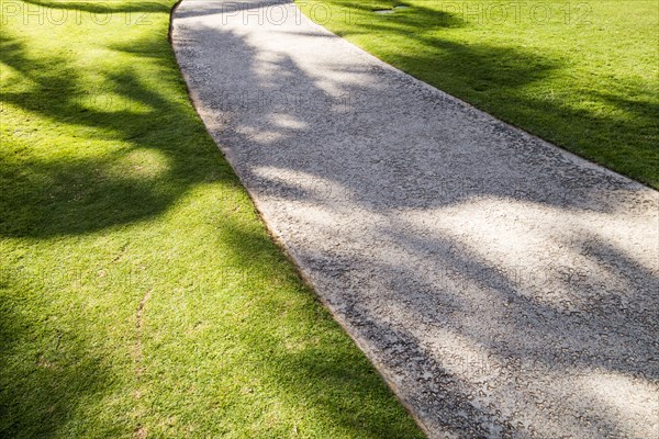 High angle view of palm tree shadows on concrete path