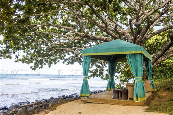 Cabana on sandy beach overlooking ocean