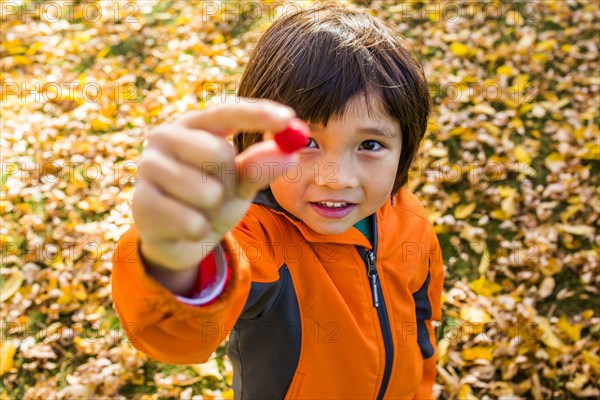 High angle view of mixed race boy holding berry