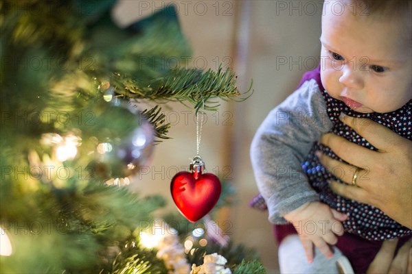 Caucasian parent holding baby girl near Christmas tree
