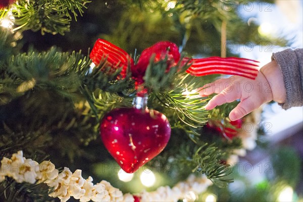 Close up of hand of Caucasian baby girl near Christmas tree