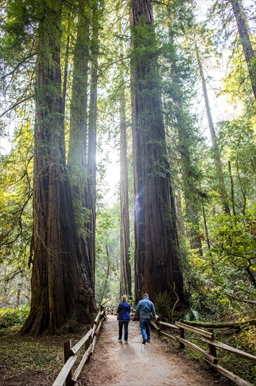 Caucasian couple walking on fenced dirt path under tall trees