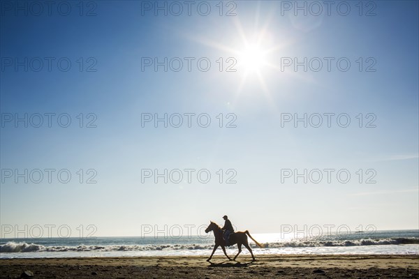 Horseback rider on beach