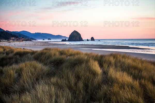 Tall grass under sunset sky on Cannon Beach