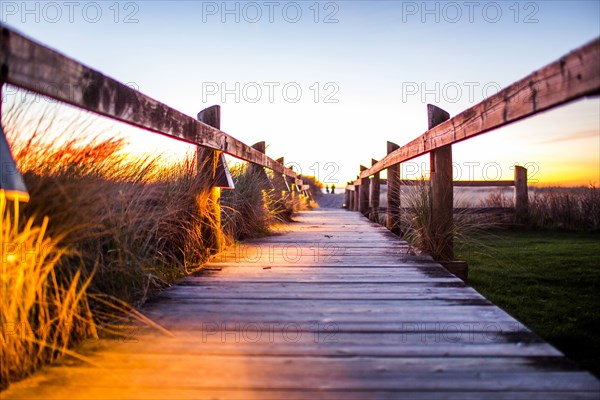 Wooden boardwalk through tall grass